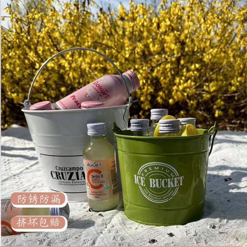 ถังเหล็กโคล่าสุดสร้างสรรค์สำหร - Ice Bucket Silver บทวิจารณ์และราคา